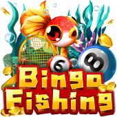 kkwin Câu Cá Bingo